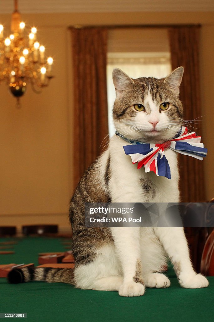 The Downing Street Cat Gets In The Royal Wedding Spirit
