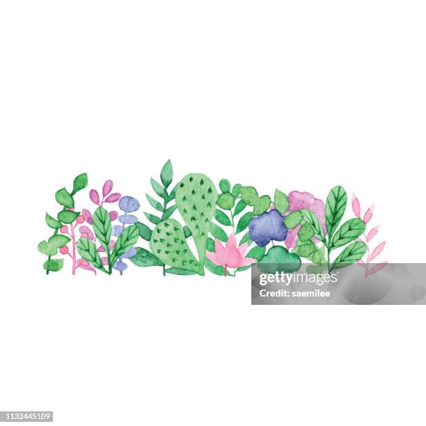 watercolor spring plants ornament horizontal - watercolor cactus stock illustrations