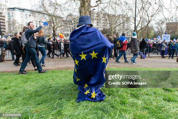 Woman seen wrapped in an EU flag during the protest. Over one million protesters gathered at the People's Rally in London demanding a second vote in...