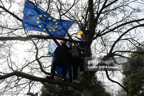 Kids seen in the tree with an EU flag during the protest. Over one million protesters gathered at the People's Rally in London demanding a second...