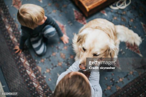 über dem blick auf kleine kinder, die mit ihrem hund zu hause genießen. - family dog stock-fotos und bilder