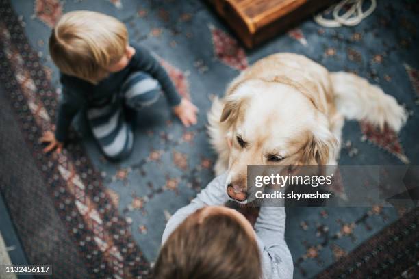 au-dessus de la vue des petits enfants appréciant avec leur chien à la maison. - two sisters and one brother photos et images de collection
