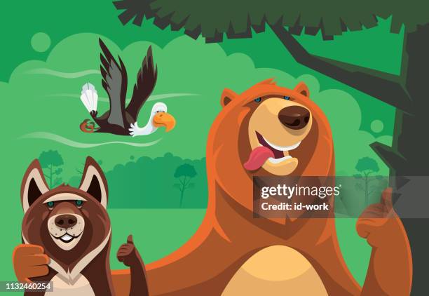bear and wolf giving thumbs up - bald eagle flying stock illustrations