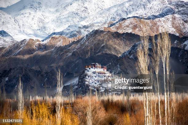thikse gompa (monastery), indus valley near leh, ladakh, india - thiksey monastery stock pictures, royalty-free photos & images