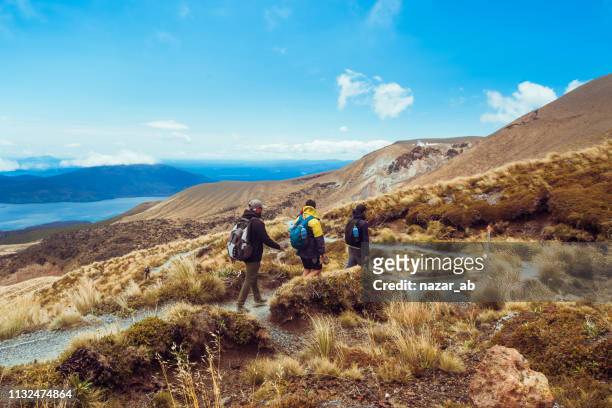 outdoor hiking. - new zealand stock pictures, royalty-free photos & images