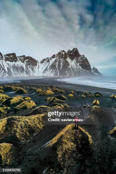 stokksnes bucht erkunden - island stock-fotos und bilder