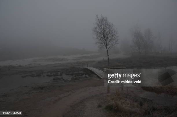 misty heath - landelijke scène stock pictures, royalty-free photos & images