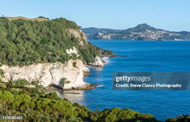 cathedral cove - cathedral cove imagens e fotografias de stock