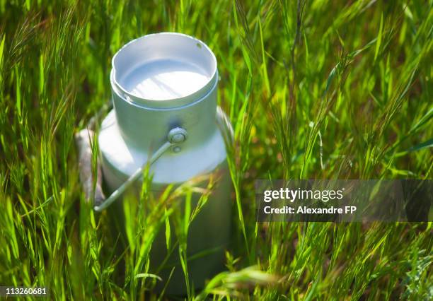 aluminium milk churn in the grass - bidon de lait photos et images de collection