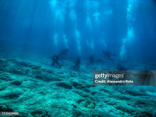 August 2018 - Athens, Greece: Sea life on the seabed off Athens on August 26, 2018 in Athens,Greece.