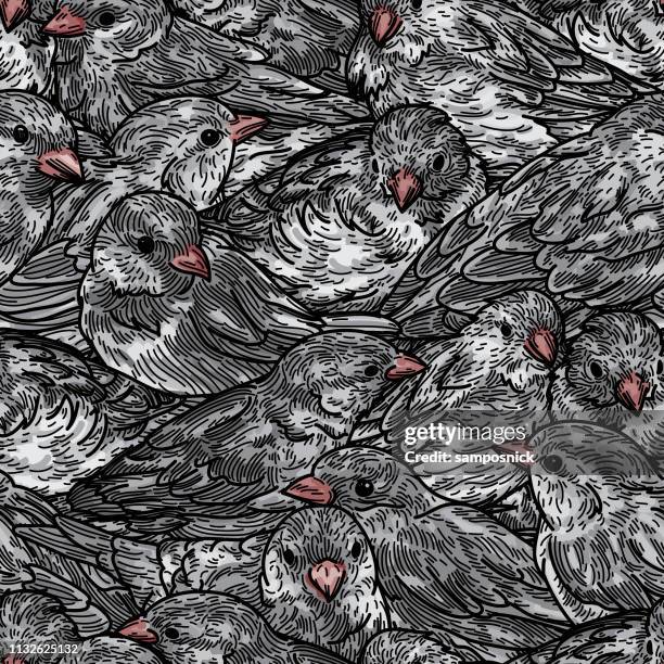 seamless dense sparrow bird pattern - flock wallpaper stock illustrations