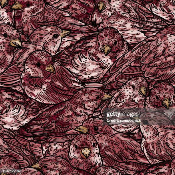seamless dense sparrow bird pattern - red feather texture stock illustrations