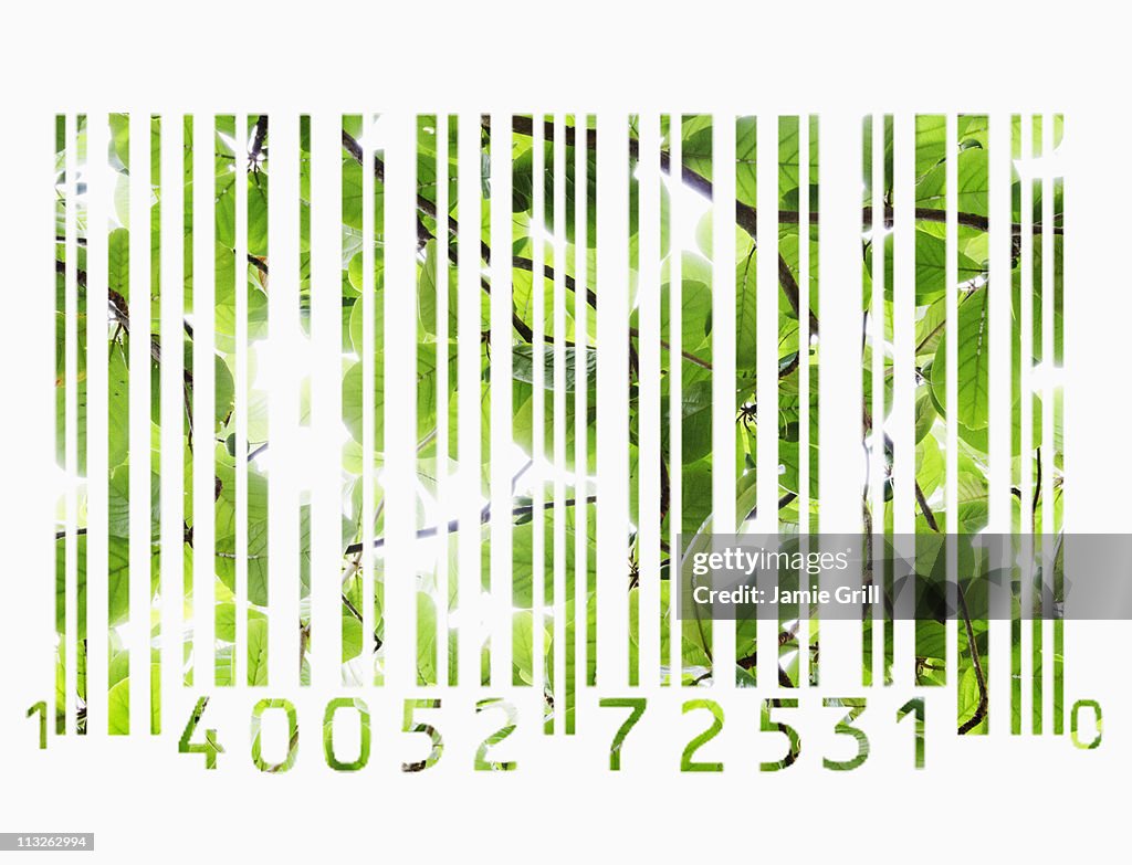 Barcode made out of leaves.