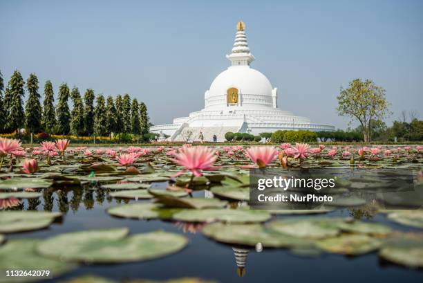 The World Peace Pagoda on the territory of the Monastic Zone, Lumbini, Nepal on March 20, 2019. Lumbini is one of the worlds most Buddhist spiritual...