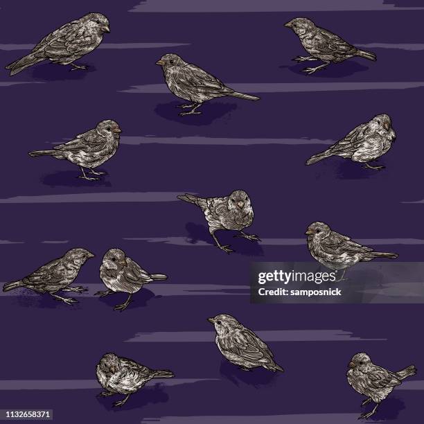 seamless scattered sparrow bird pattern - animal pattern stock illustrations