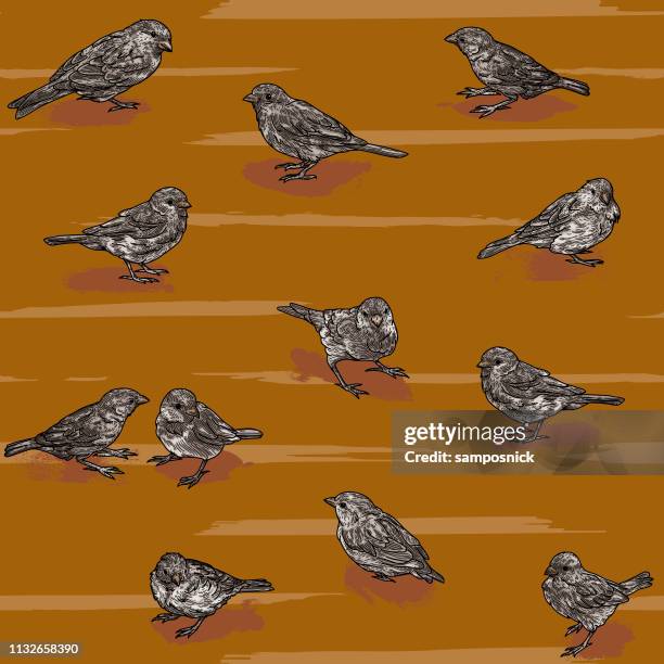 seamless scattered sparrow bird pattern - animal pattern stock illustrations