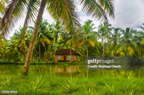 house at the kerala backwaters - canal interior imagens e fotografias de stock