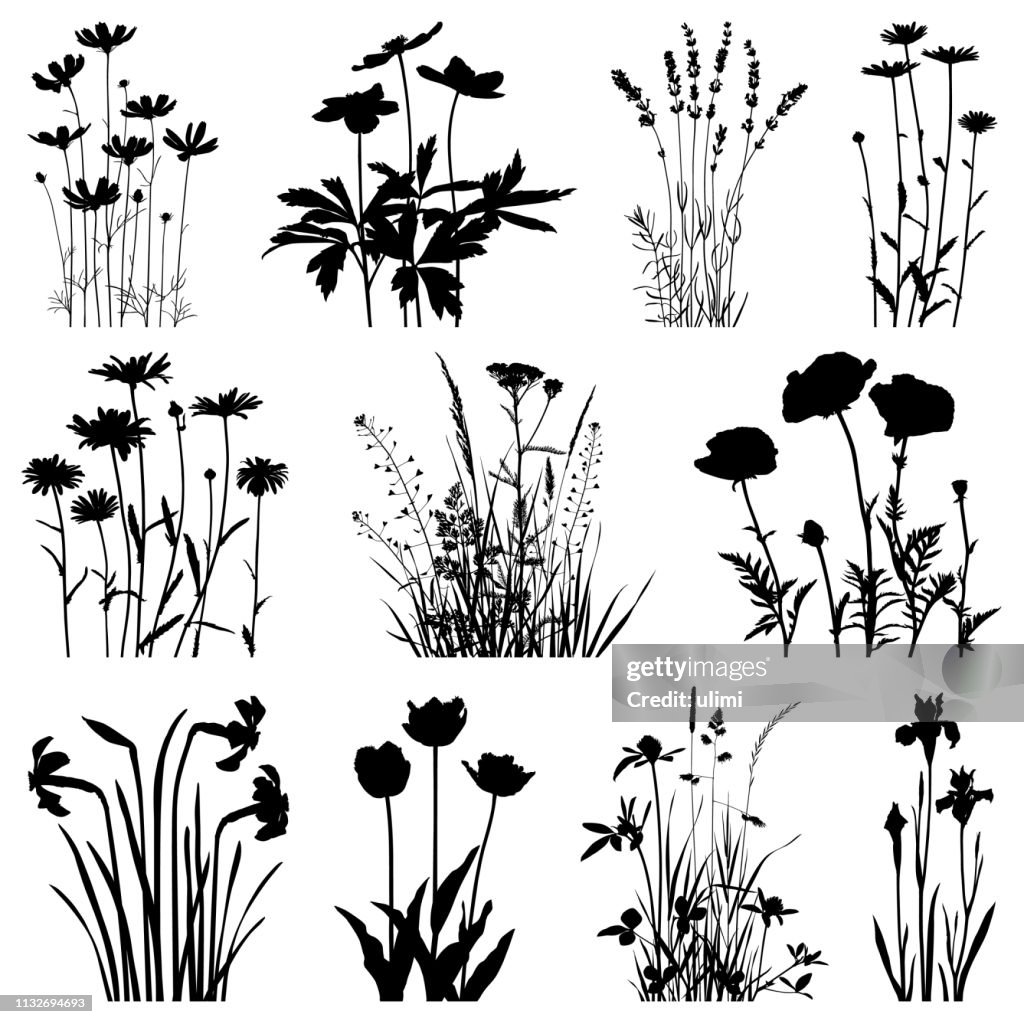 Siluetas de plantas, imágenes vectoriales