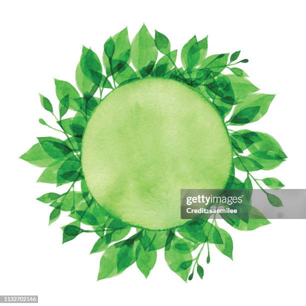 watercolor green branch and circle - bunch of flowers stock illustrations