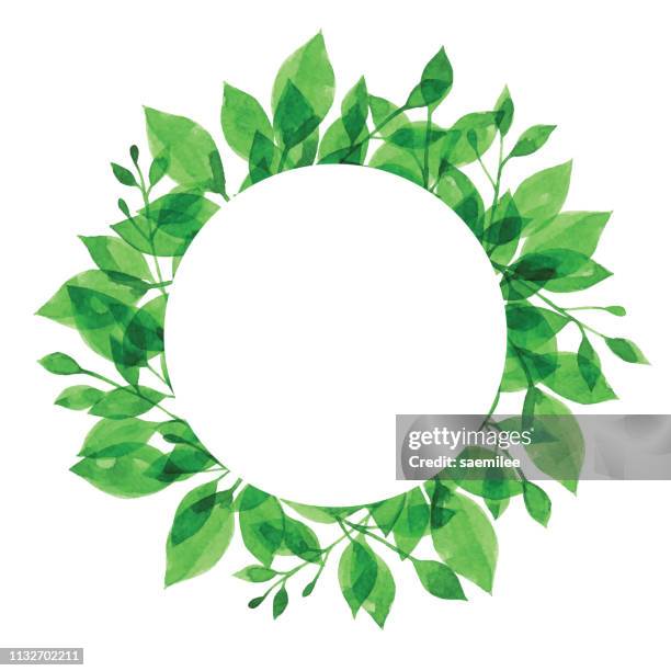 aquarell grünzweig mit weißkreis - aquarell pflanze stock-grafiken, -clipart, -cartoons und -symbole