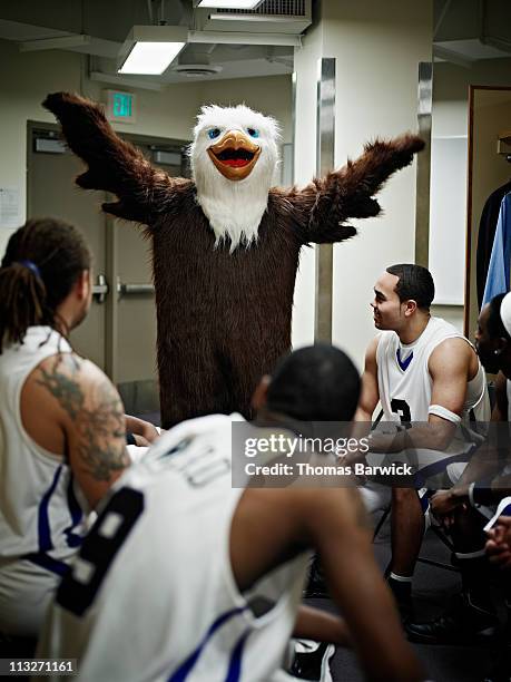 eagle mascot with basketball team in locker room - mascot stock pictures, royalty-free photos & images