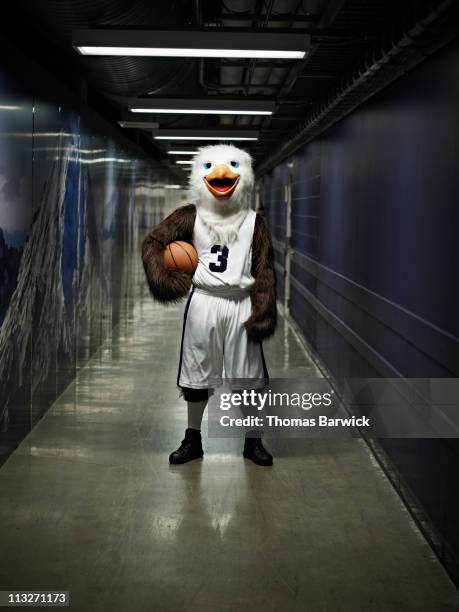 eagle mascot standing in hallway of arena - mascot stock-fotos und bilder