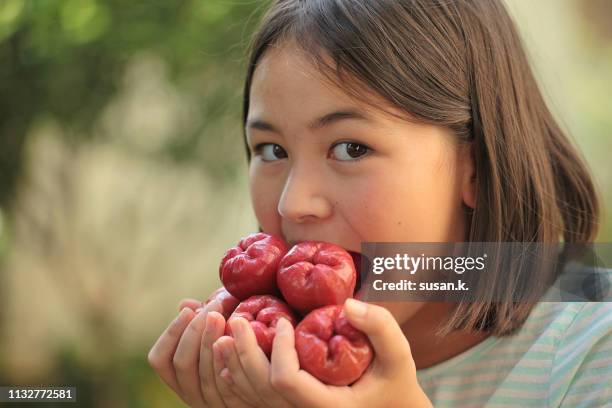 portrait of girl eating water guava at garden. - water apples stock pictures, royalty-free photos & images