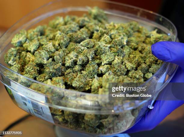 Ghost train haze" marijuana buds are weighed for a customer on the first day of recreational marijuana sales at New England Treatment Access in...