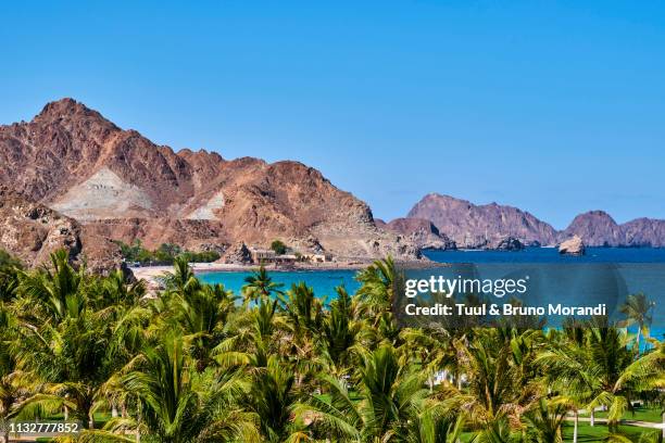 oman, gulf of oman, mascat, al bustan beach - maskat stock pictures, royalty-free photos & images