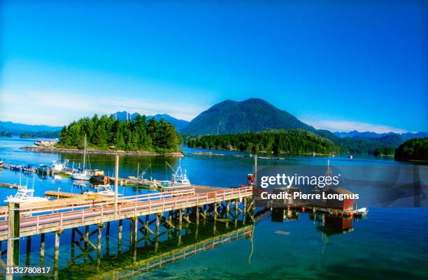 tofino harbour, vancouver island, british columbia, canada - vancouver canada 2019 stock pictures, royalty-free photos & images