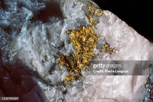 gold nugget or gold vein 'trapped' in quartz. gold mining industry, val d'or, quebec, canada - gold mine stock pictures, royalty-free photos & images