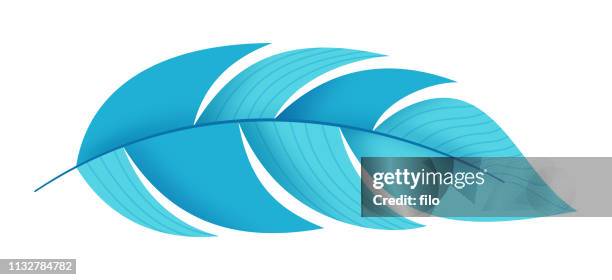 blue feather - blue quill pen stock illustrations