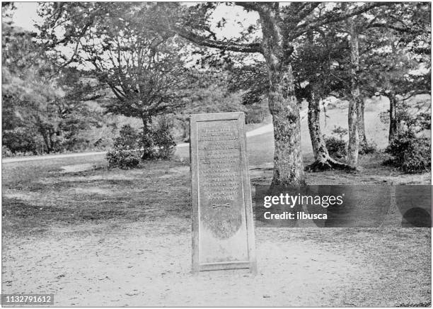 antique black and white photograph of england and wales: rufus stone, new forest - new forest stock illustrations