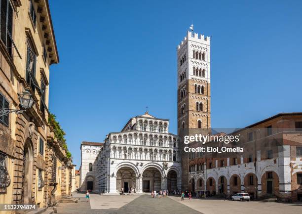 san martino cathedral in lucca - lucca stock pictures, royalty-free photos & images