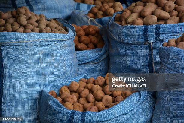 potatoes market bolivia - aliment cru stock-fotos und bilder