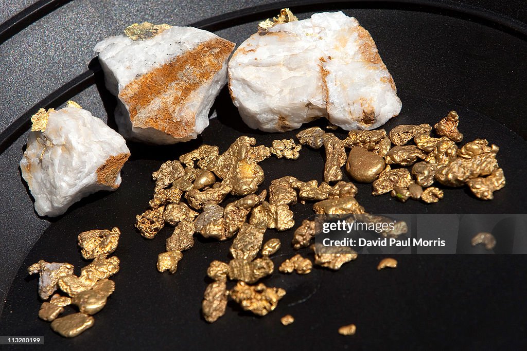 Rising Price of Gold Spurs Increases In Prospecting In California