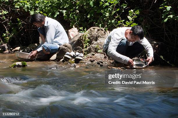 Ken Yong and Ted Nguyan both of San Jose look for gold in Woods Creek on April 29, 2011 in Jamestown, California. As the dollar continues to fall...