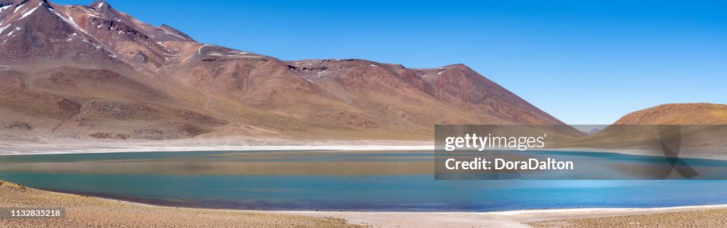 San Pedro de Atacama, regio Antofagasta, Chili (Lagunas miscanti en Miñiques)