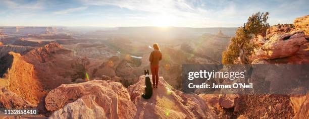 female traveller and dog viewing canyon landscape at sunset panoramic - panoramic people stock pictures, royalty-free photos & images