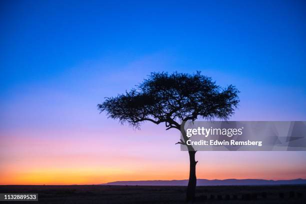 mara sunrise - saturated color stock pictures, royalty-free photos & images