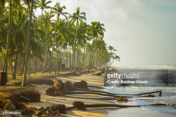sea beach at kerala - malabar coast stock pictures, royalty-free photos & images