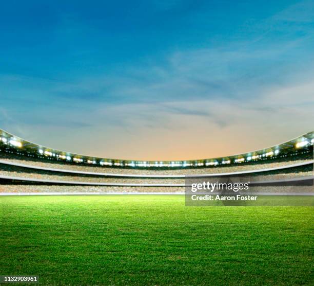 stadium - stadio foto e immagini stock