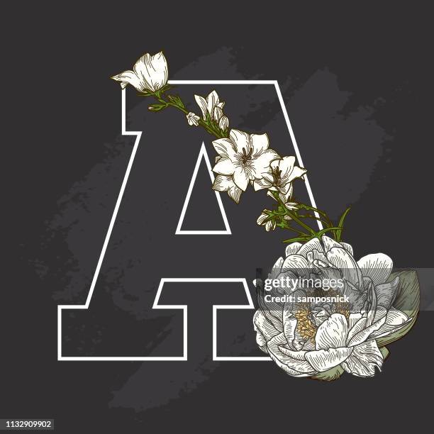 ilustraciones, imágenes clip art, dibujos animados e iconos de stock de vintage floral tiza estilo art drop cap carta a - letra a con flores vector a