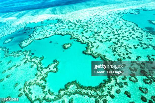 heart shaped reef in the whitsundays - great barrier reef aerial ストックフォトと画像