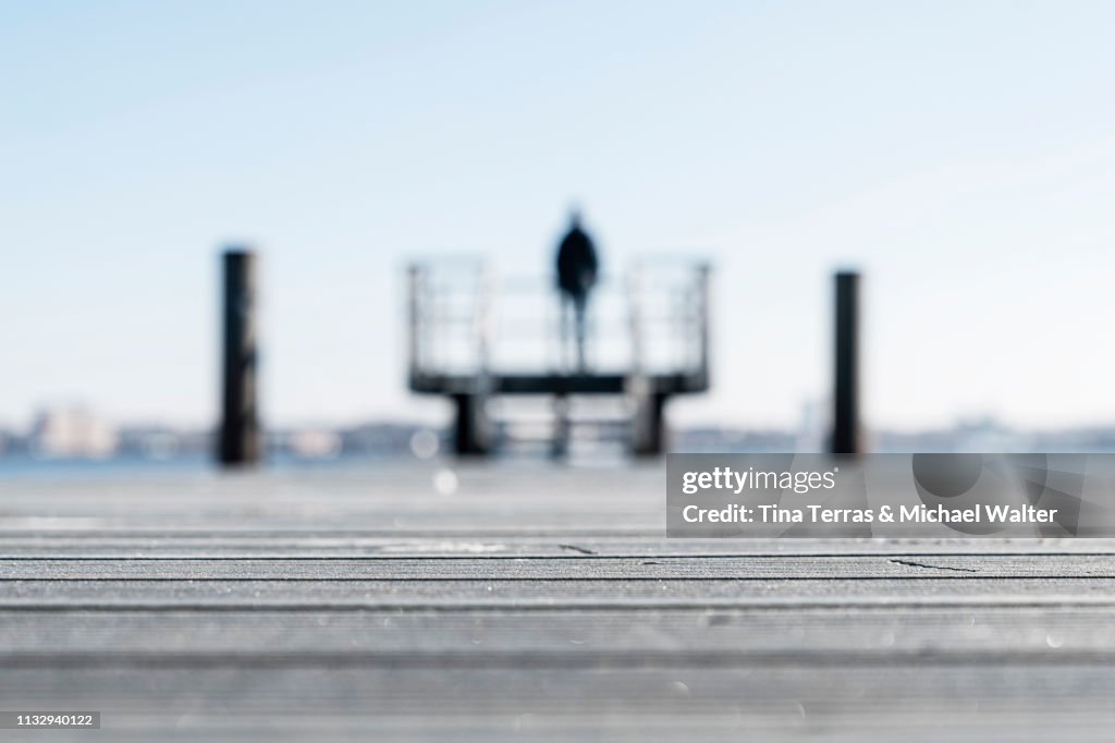 Rear view of man standing on a pier at the coast in Kiel (Germany)