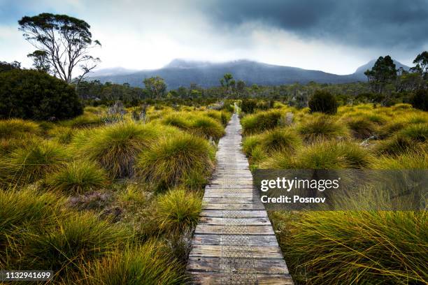 overland track - overland track stock pictures, royalty-free photos & images