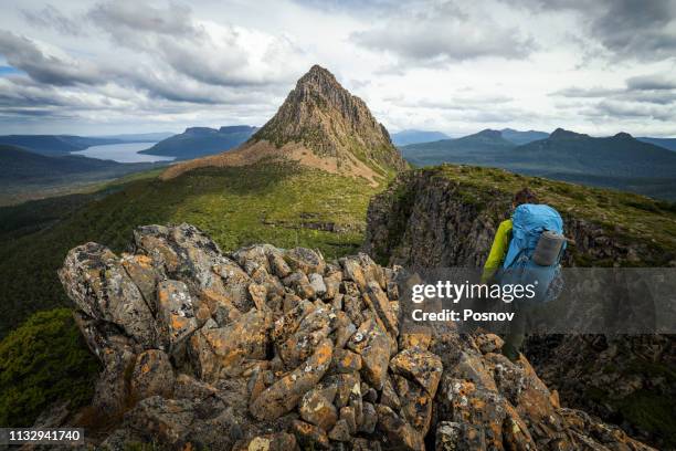 mount gould - overland track stock pictures, royalty-free photos & images