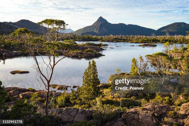 mount gould - tasmanien stock-fotos und bilder