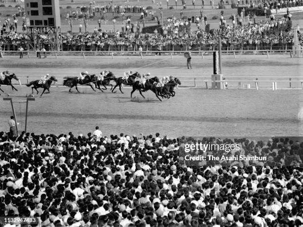 General view during the 28th Japanese Derby at Tokyo Racecourse on May 28, 1961 in Fuchu, Tokyo, Japan.