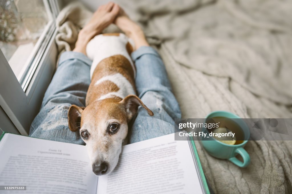 Reading at home with pet. Cozy home weekend with interesting book, dog and hot tea. Beige and blue. Chilling mood